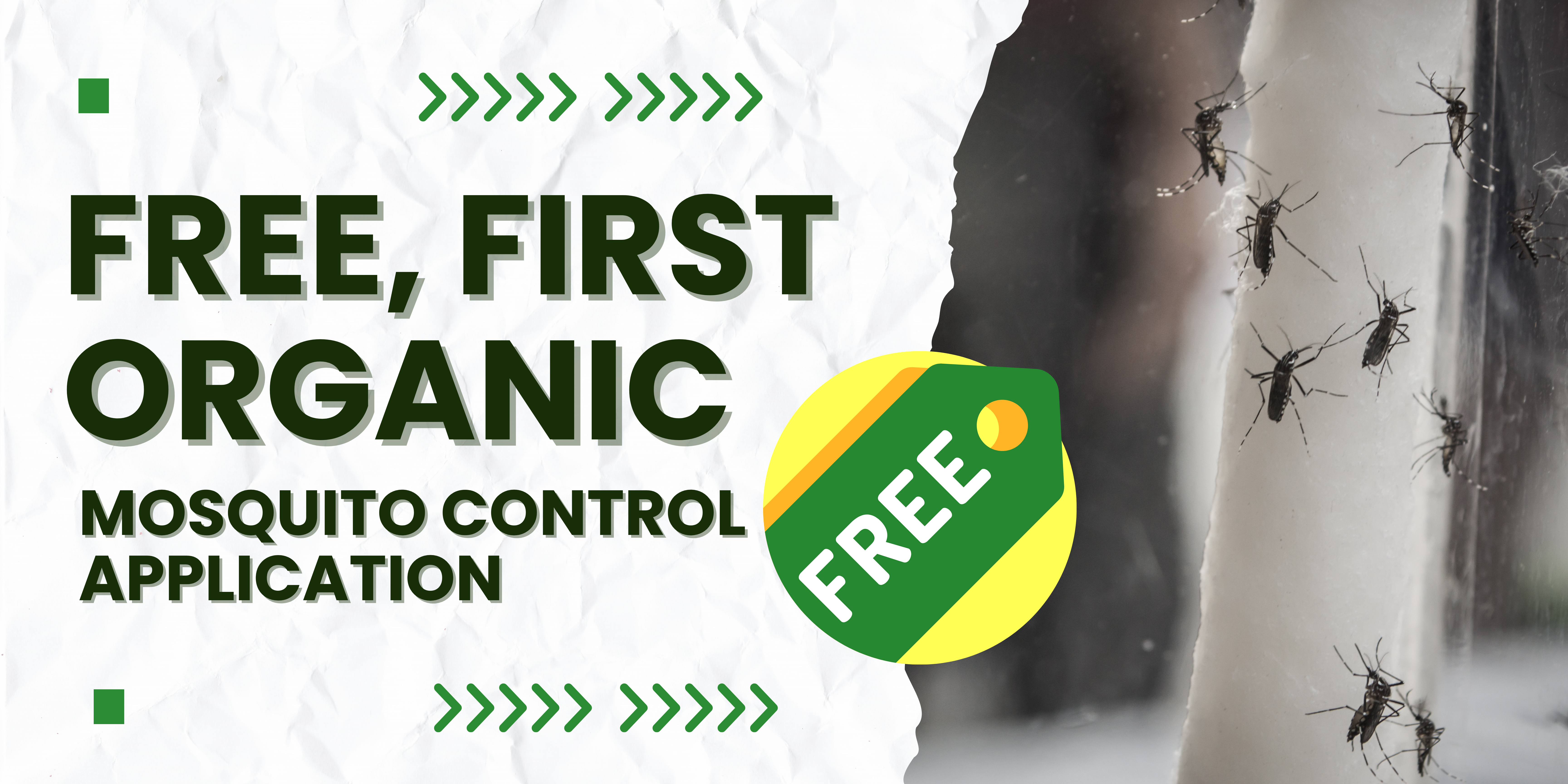 Free first organic