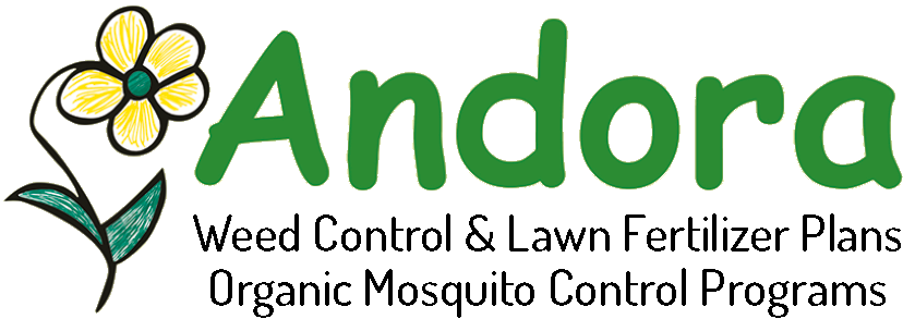 The logo for Andora Lawn Care in Larchmont, NY, florists.