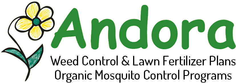 The logo for Andora Lawn Care in Larchmont, NY, florists.